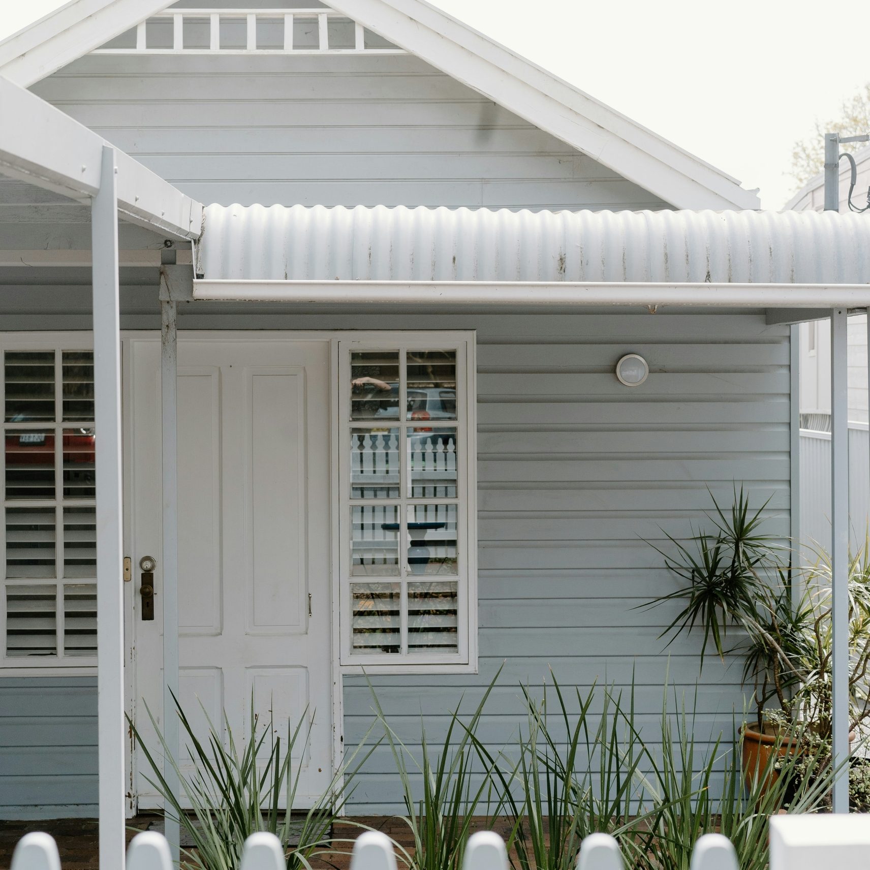 qpest solutions pest control gympie